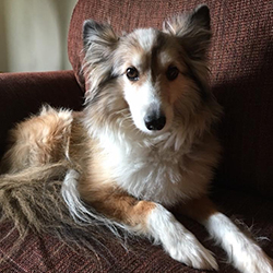 Posing in the living room on the old furniture