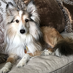 Posing in the living room on the new furniture